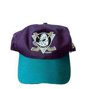 Vintage Purple and Teal Hat